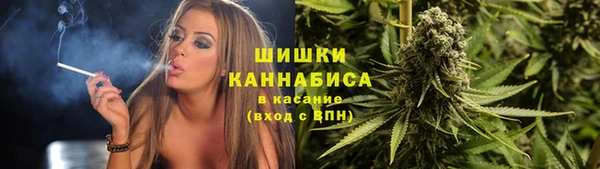 твердый Мегион