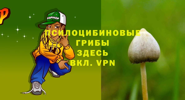 дурь Михайловка