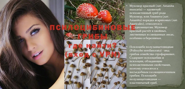 твердый Мегион