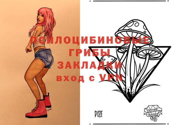 дурь Михайловка